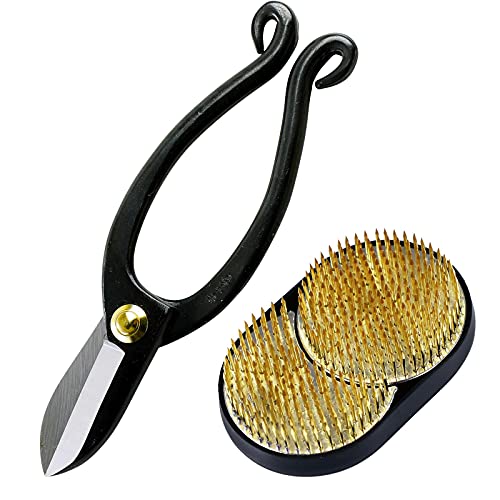 Wazakura Made in Japan Ikebana Tool Kit - Ikenobo Scissors + Sun and Moon Kenzan Flower Holder, Japanese Floral Arrangement Set, Florist Shears and Wazakura