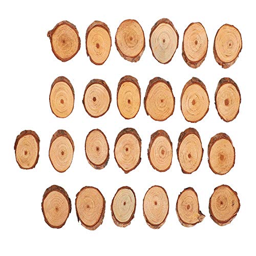 25 PCS Natural Wood Slices, Unfinished Wood Slices Wood Slice Round Wood Wood Pieces Pine Oval Piece Oblique DIY for Painting/Crafts/Wedding Liyeehao