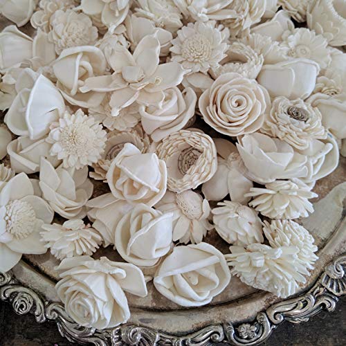Mini Sola Wood Flower Assortment - 50 in a Set Oh You're Lovely