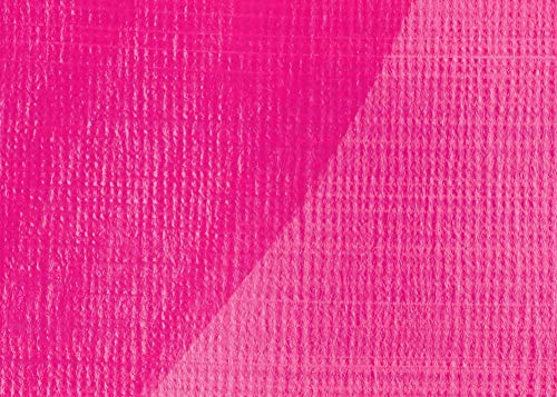 Liquitex BASICS Matte Varnish, 250ml (8.4oz) Bottle, 8.45 Fl Oz (Pack of 1) Liquitex