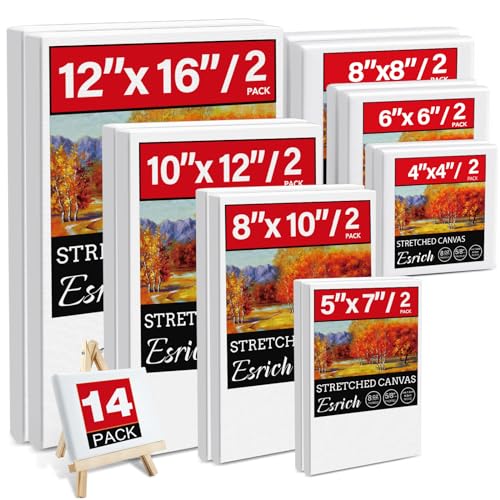 14 Packs Stretched Canvases for Painting, MultiSize 12x16, 10x12, 8x10, 5x7, 8x8, 6x6, 4x4 (2 of Each), Primed Blank Canvas for Oil, Acrylic ESRICH