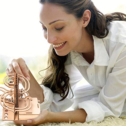 Marble Run 3D Wooden Puzzle for Adults and Teens,DIY Model Kit,Educational Jigsaw Puzzles Building Toys, STEM Projects Science Experiments Runs on auryee
