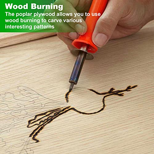 24 Pack 12 Inch Wood Rounds Unfinished Basswood Plywood Wooden Sheets Blank Wood Circle for Crafts Painting School Projects Door Hanger Wood Burning ZOFORTY