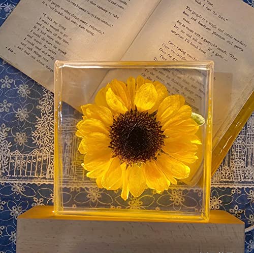 8pcs Resin Molds Kit,Square and Rectangle Silicone Epoxy Molds for Resin Jewelry, Soap, Dried Flower Leaf, Insect Specimen Trybesty