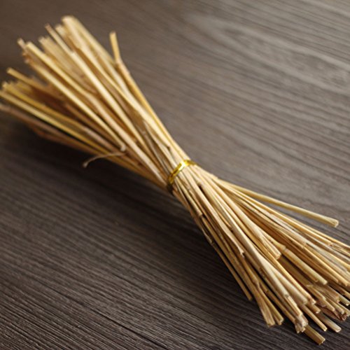 LUOEM Forest DIY Craft Ornaments for Photography Background Wood Branches Photo Props LUOEM