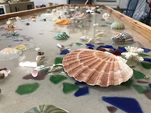 Coloredepoxies 10002 Clear Epoxy Resin Coating 100% Solids, High Gloss For Garage Floors, Basements, Concrete and Plywood. 3 Gallon Kit colored epoxies