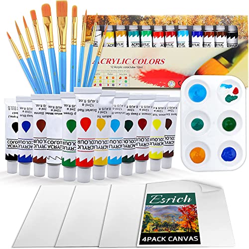 Acrylic Painting Set with 1 Packs / 10 PCS Nylon Hair Brushes 12 Color Tubes (12ml, 0.4 oz) 1 PCS Paint Plate and 4 PCS Canvas for Acrylic Painting ESRICH