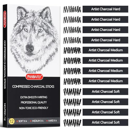 PANDAFLY Compressed Charcoal Sticks, 12 Pieces (Soft, Medium, Hard) Square Vine Charcoal Sticks for Drawing, Sketching, Shading, Charcoal Drawing Set PANDAFLY