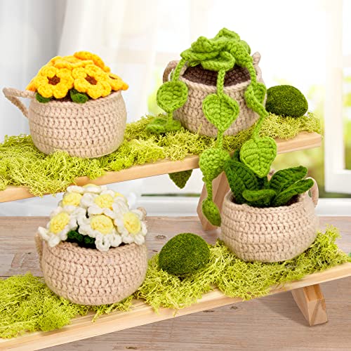 Karsspor Crochet Kit for Beginners - 4 PCS Hanging Potted Plants, Beginner Crochet Kit for Adults with Easy to Follow Tutorials (Patent Product) Karsspor