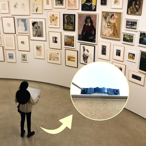 Picture Hanging Kit 251 PCS, Include 50 Sawtooth Picture Hangers, 50 D Ring Picture Hangers, 150 Screws and 1 Screwdriver, Picture Frame Hanging UEHENUE