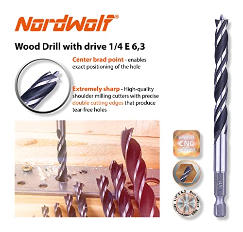 NordWolf 12-Piece Brad Point Wood Drill Bit Set for Carpenter Woodworking, Double Flutes Design with 1/4" Hex Shank, SAE Sizes 1/8" to 1/2" NordWolf