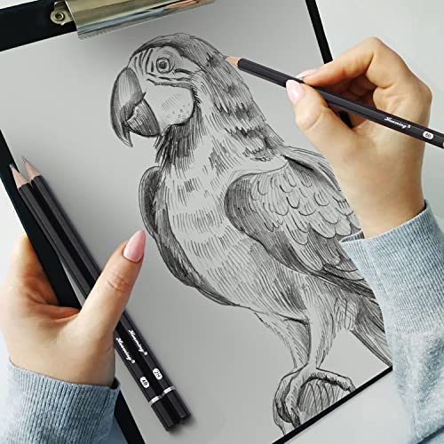 GETHPEN Sketch Pencils for Drawing,12 Pack Drawing Pencils, Graphite Pencils, Graphite Pencils for Drawing, Art Pencils for Drawing and Shading, GETHPEN