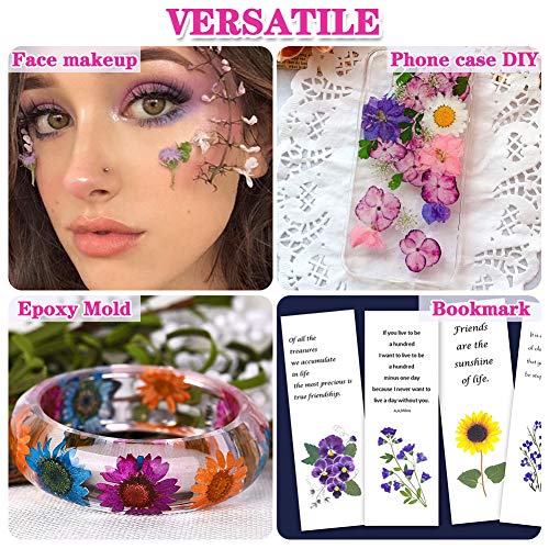 170Pcs+ Real Dried Pressed Flowers Leaves Petals for Crafts-Beautiful Pressed Flowers Daisies for Resin Jewellery, Pressed Flowers Nail Pendant Vignee