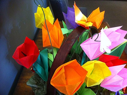 LaFosse & Alexander's Origami Flowers Kit: Lifelike Paper Flowers to Brighten Up Your Life: Kit with Origami Book, 180 Origami Papers, 20 Projects & Tuttle Publishing