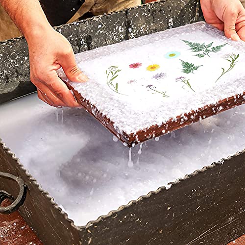 Cayway 9 Pack Dried Flower Paper Craft Set Include 3 Pack Mixed Wooden Paper Making Mold Frame, Dried Flowers, Spoon Stirrer N\A