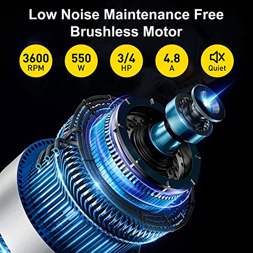 Woodskil Bench Buffer Polisher 4.8A 8-Inch Polishing Machine 3600rpm with 2 pcs-Fiber Wheels for Buffing Metal, Jewelry, Wood, Jade, and Plastic Woodskil