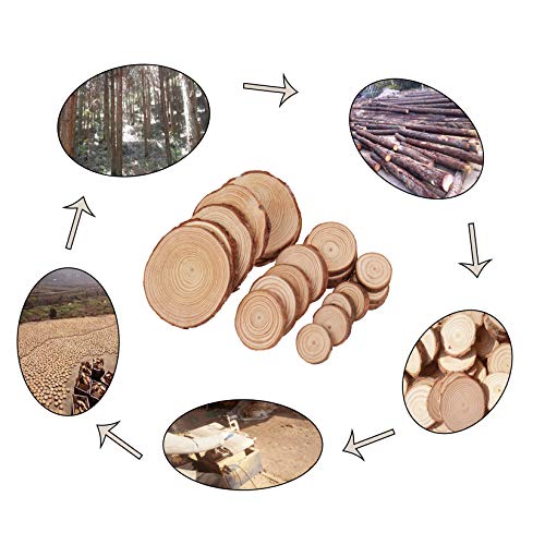 Natural Wood Slices, Tiberham 21 Pcs 1.2-3.9 Inches Unfinished Wooden Circles Round Rustic Wood with Bark, Solid Log Discs Craft Wood Kit for Arts Tiberham