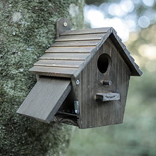 Bird House Black Birdhouse Bird Houses for Outside with Pole Wooden Bird House for Finch Bluebird House Cardinals Hanging Birdhouse Clearance Garden NATUREYLWL