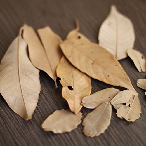 LUOEM Forest DIY Craft Ornaments for Photography Background Wood Branches Photo Props LUOEM