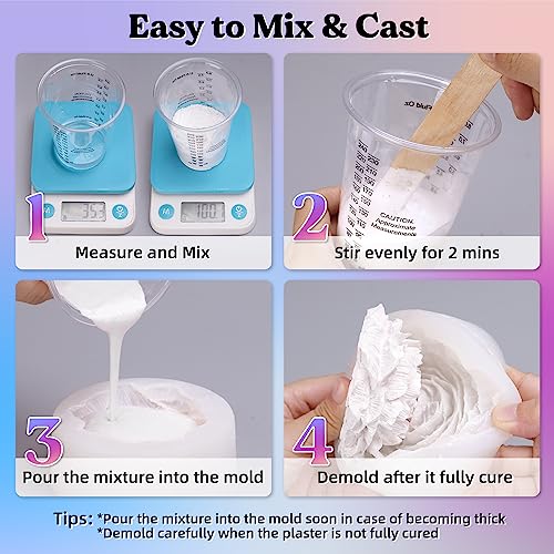 LET'S RESIN Resin Casting Powders 3000g, Fast Cured Casting Resin Kit for Beginners,20~30 Minutes De-Mold, Water Activated Plaster Powder Casting Kit LET'S RESIN