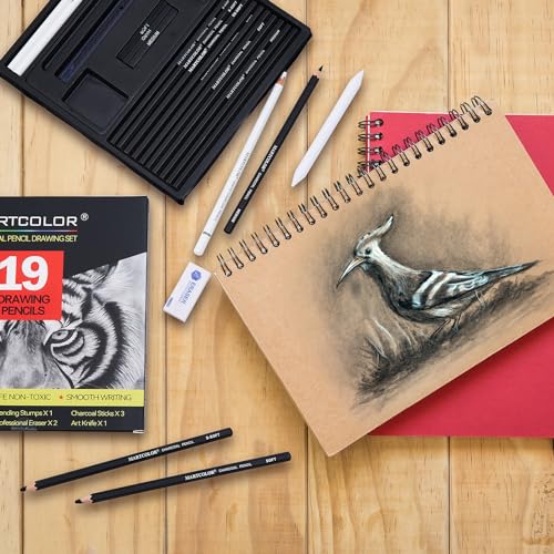 MARTCOLOR Charcoal Drawing Set, 19 Pieces, Black & White Charcoal Pencils for Drawing, Sketching, Shading, Blending, Artist Pencils for Beginners & MARTCOLOR
