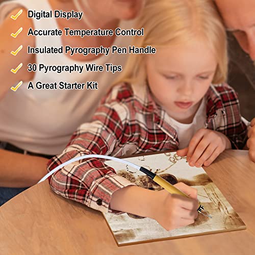 Toolly Wood Burning Kit, Wood Burning Tool, Temperature Adjustable Pyrography Machine, Upgraded 60W Digital Wood Burner Tool with 30PCS Wire Tips for Toolly