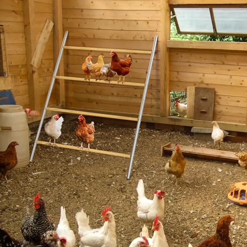 BESBLEE Chicken Coop Roosting Perch Essentials:Perfect for Backyard Poultry, Easy Installation &,Farm Roost Toys for Chickens (55' L x 40' W) BESBLEE