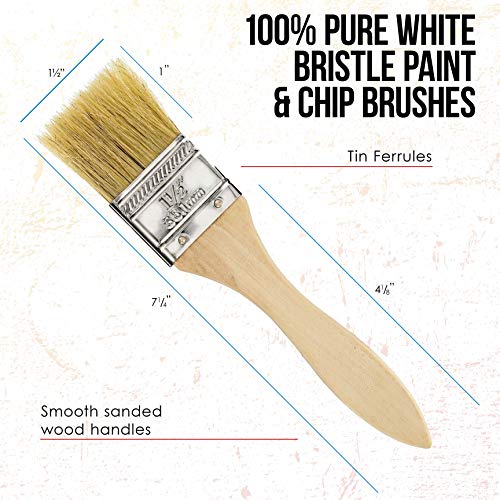 US Art Supply 20 Pack of Assorted Size Paint and Chip Paint Brushes for Paint, Stains, Varnishes, Glues, and Gesso US Art Supply