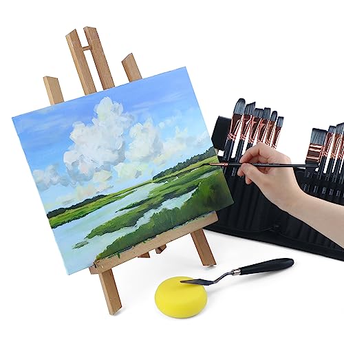 Transon Art Paint Brush Kit 16 Paint Brushes with Foam Brush Sponge Spatula and Brush Case for Oil, Acrylic, Watercolor, Gouache, Painting Black TRANSON