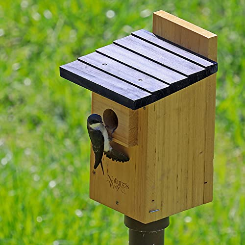 Nature's Way Bird Products CWH4 Cedar Bluebird Viewing House NATURES WAY BIRD PRODUCTS