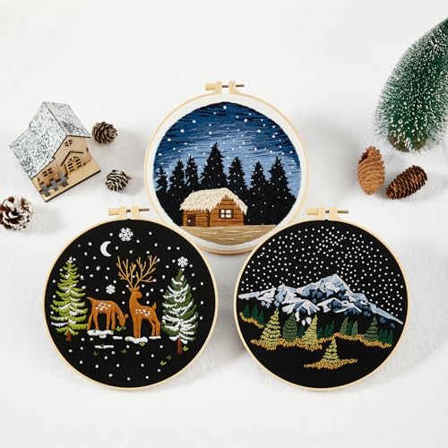 Armindou Embroidery Kit for Beginner Adults, Counted Stamped Cross Stitch kit for Adult Beginner, Hand Embroidery Starter Kits with Pattern, 3 Armindou