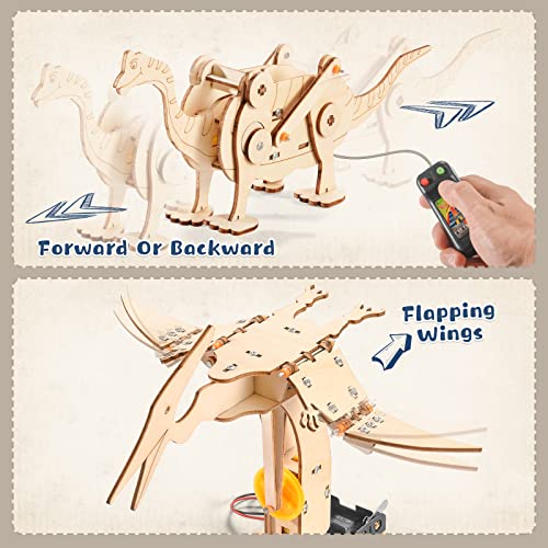 Dinosaur STEM Kits for Kids Ages 6-8-10-12, 4 in 1 Stem Projects, Wood Building Toys for Boys Age 8-12, Build It Yourself Woodworking Kit, DIY 3D Yutin