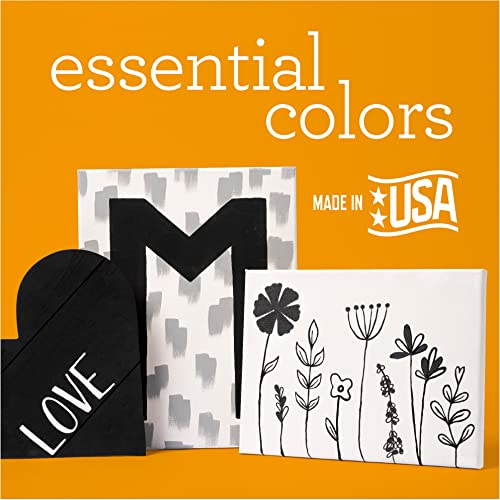 Apple Barrel White One Gallon (128 fl oz), Matte Finish Color, Drawing & Art Supplies, DIY Arts and Crafts Acrylic Paint, 1 Gallon (Pack of 1) Apple Barrel