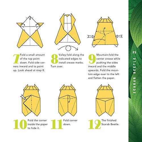 Origami Bugs Kit: Origami Fun for Everyone!: Kit with 2 Origami Books, 20 Fun Projects and 98 Origami Papers: Great for Both Kids and Adults Tuttle Publishing