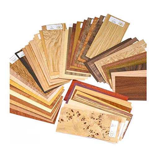 Wood Identification Kit Sauers