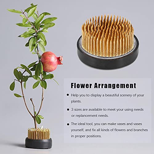 3PCS Flower Frog Holder/Round Flower Fixed Tools with Brass Needle,3 Sizes Flower Arrangement Pin for Garden Home Decoration(0.9inch 1.34inch TonJin