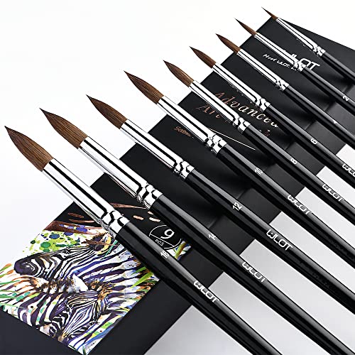 Sable Watercolor Brushes 9pcs Professional Superior Kolinsky Watercolor Paint Brushes for Artists Round Pointed Oval Wash for Watercolor Acrylics