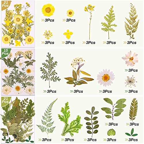 297 Pcs Dried Pressed Flowers Butterfly Stickers for Resin, Real Natural Dry Flowers Leaves Bulk with Tweezers for Art Craft Supplies Scrapbooking Cruzix