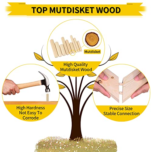 Wooden Dowel Pins, 200PCS Mutdisket Wood Beveled Ends Tapered Pins Wood Pegs, Groove Wooden Dowel Pins - 9 Sizes 6mm 8mm 10mm Straight Grooved Pins IEAWISL