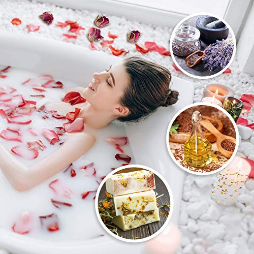 9 Bags Dried Flowers,100% Natural Dried Flowers Herbs Kit for Soap Making, DIY Candle Making,Bath - Include Rose Petals,Lavender,Don't Forget SACATR