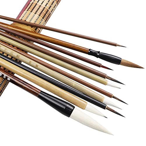 DIUDIU CAT Chinese Brush,Chinese Art Brush Set,Kanji Japanese Sumi for Writing Drawing, One Set of 10 Brushes (with Brush Bag) DIUDIU CAT