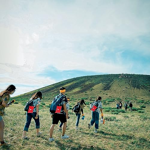 Small First Aid Kit -98 Piece First Aid Kit, Small Travel First Aid Kit Treat and Protect Most Injuries,Mini First Aid Kit Ready for Emergency at Ancestress