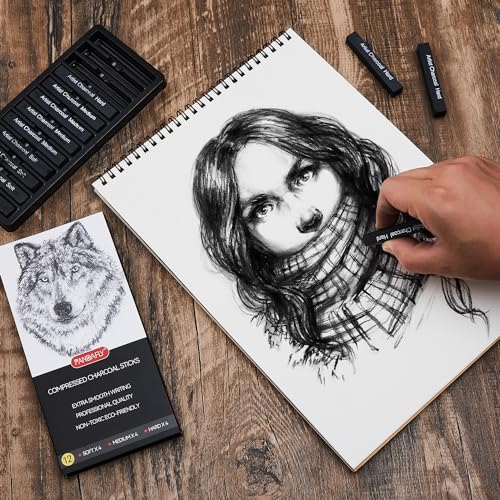 PANDAFLY Compressed Charcoal Sticks, 12 Pieces (Soft, Medium, Hard) Square Vine Charcoal Sticks for Drawing, Sketching, Shading, Charcoal Drawing Set PANDAFLY