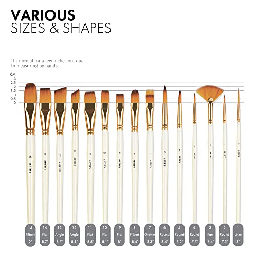 ARTIFY 15 Pieces Paint Brush Set, Intermediate Series, Includes Pop-Up Carrying Case with Palette Knife and 2 Sponges, for Acrylic, Oil, Watercolor ARTIFY art supplies