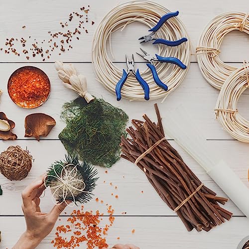 SEWACC 50pcs Branch Material Natural Wood Log Sticks Wooden Dowel Rod Cane Accessories Birch Wood Sticks Dry Wooden Sticks Vase Wood Crafts DIY SEWACC