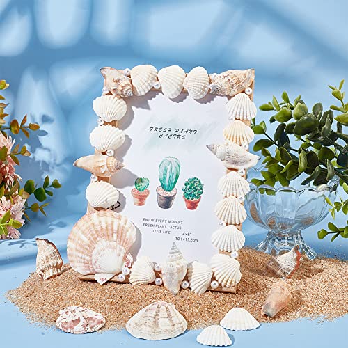 WEBEEDY Unfinished Wooden Photo Frame Craft Kit for Kids DIY Wooden Photo Frames with Stand Shell Wood Photo Picture Frames Making Kit for Kids Craf WEBEEDY