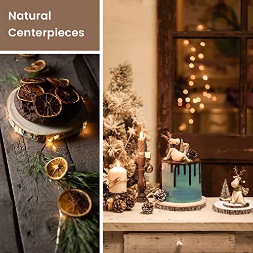 Maputune 8 Pcs 6-7 in Large Unfinished Wood Slices for Centerpieces, Natural Rustic Wooden Plate for DIY Craft, Round Wood Chips for Signage Painting Maputune