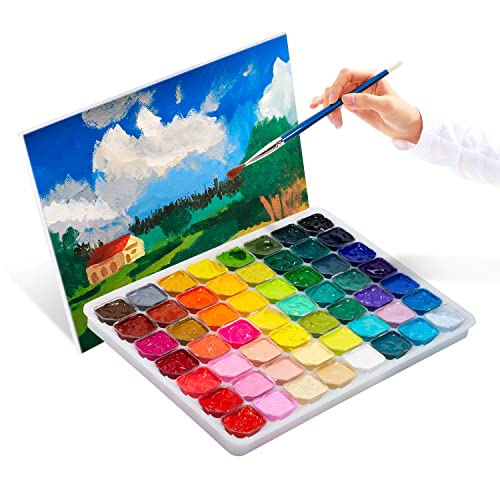 Gouache Paint Set, 56 Colors x 30ml Unique Jelly Cup Design in a Carrying Case, Gouache Opaque Watercolor Painting Perfect Art Supplies for Artists, Henyiewl
