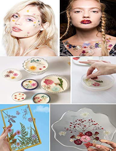 141PCS Brown Fall Dried Pressed Flowers for Resin - Youthbro Real Nature Flowers Herb Set for Christmas DIY Candle Soap Vase Making Nail Card YouthBro