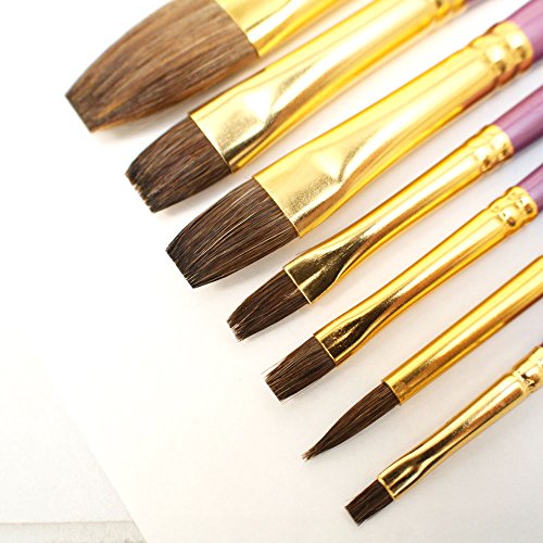 Mont Marte Gallery Series Watercolour Brush Set, 7 Piece. Features a Range of Watercolour Paint Brushes Made from Pony Hair. MONT MARTE
